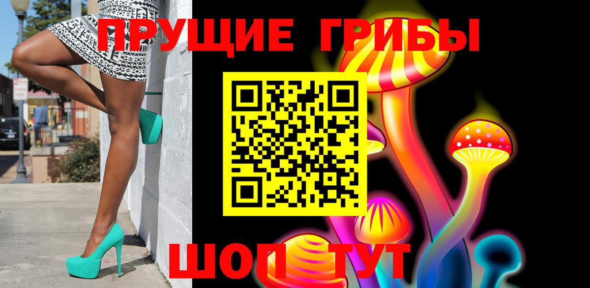 Псилоцибиновые грибы Psilocybine cubensis Озёры